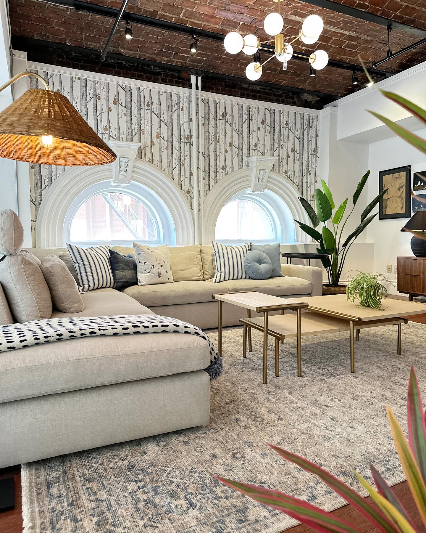 435662549_18348095941101590_5611264842661762130_n (1) Vintage inspired rug in a living room with round windows and wallpaper.