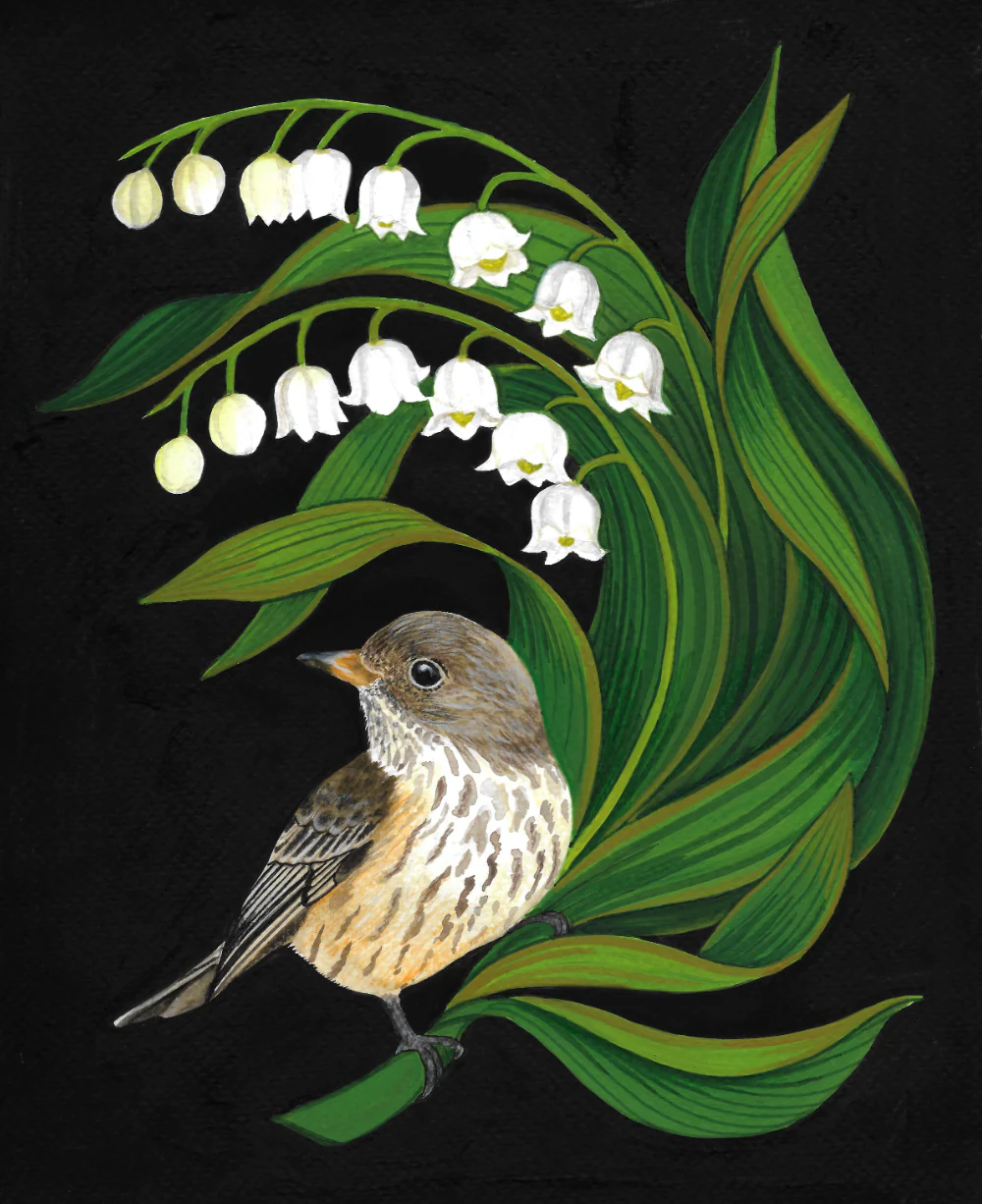 LilyoftheValley