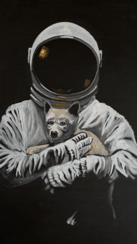 Robert's Pop Up Shop (1)